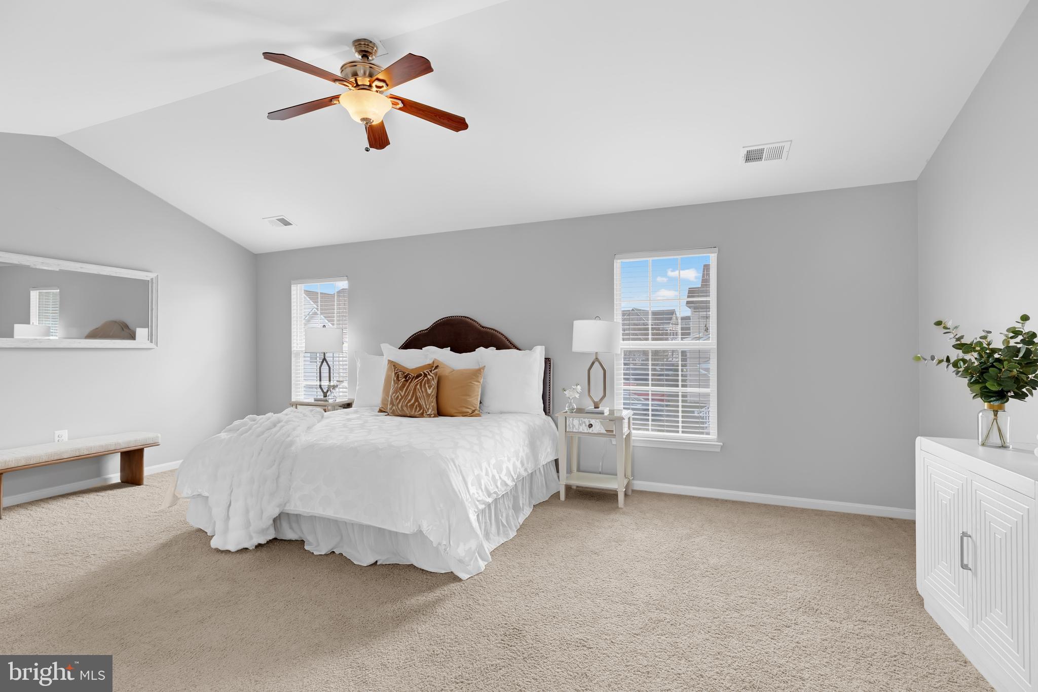 17397 Tedler Circle Round Hill, VA 20141 - Photo 20 of 62 Owner's Suite Vaulted ceilings