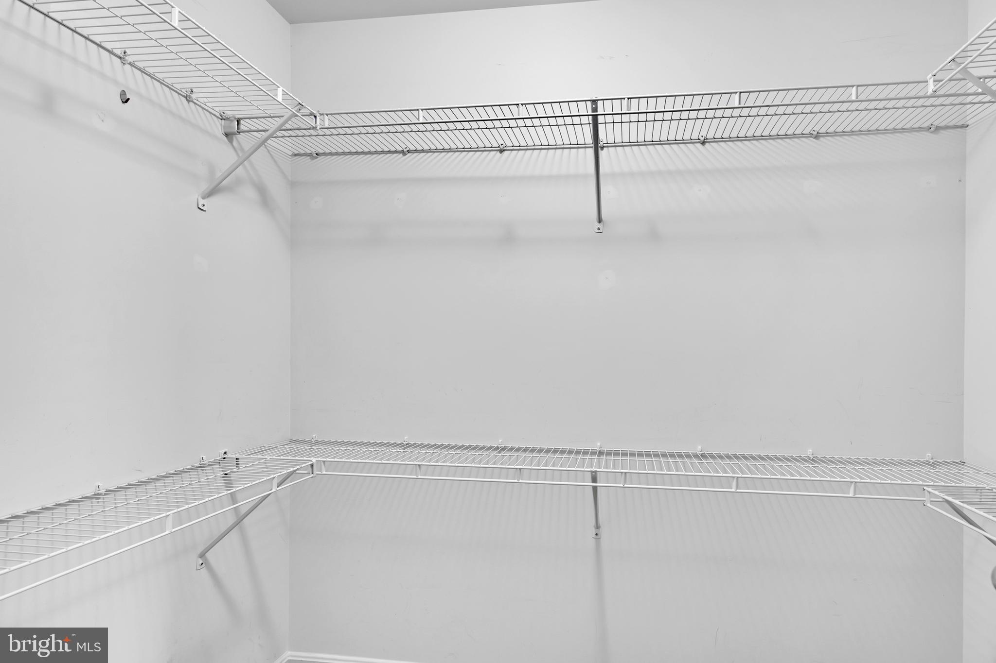 17397 Tedler Circle Round Hill, VA 20141 - Photo 26 of 62 Owner's Suite # 1 Walk in Closet