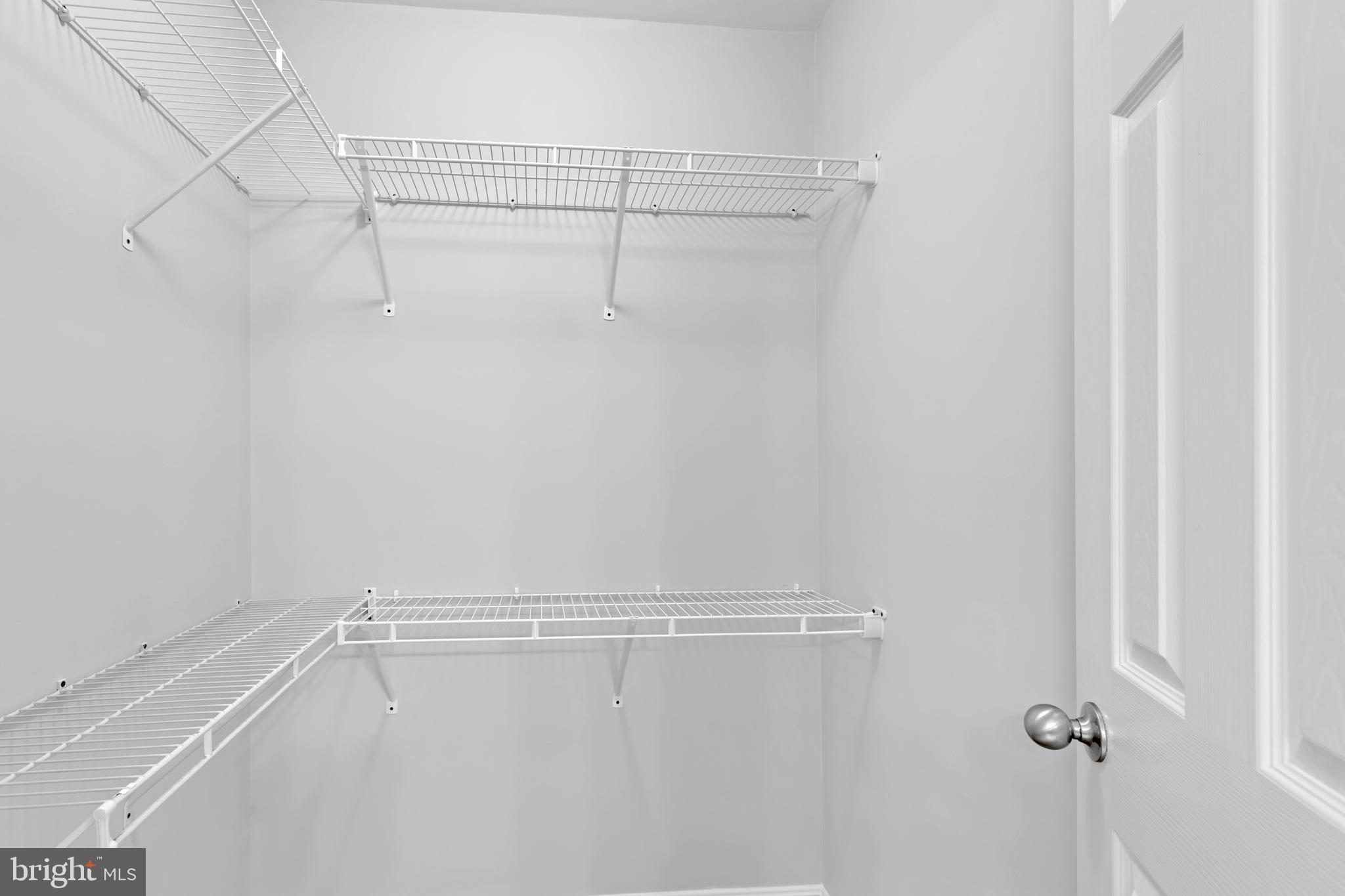 17397 Tedler Circle Round Hill, VA 20141 - Photo 27 of 62 Owner's Suite-#2 Walk in Closet