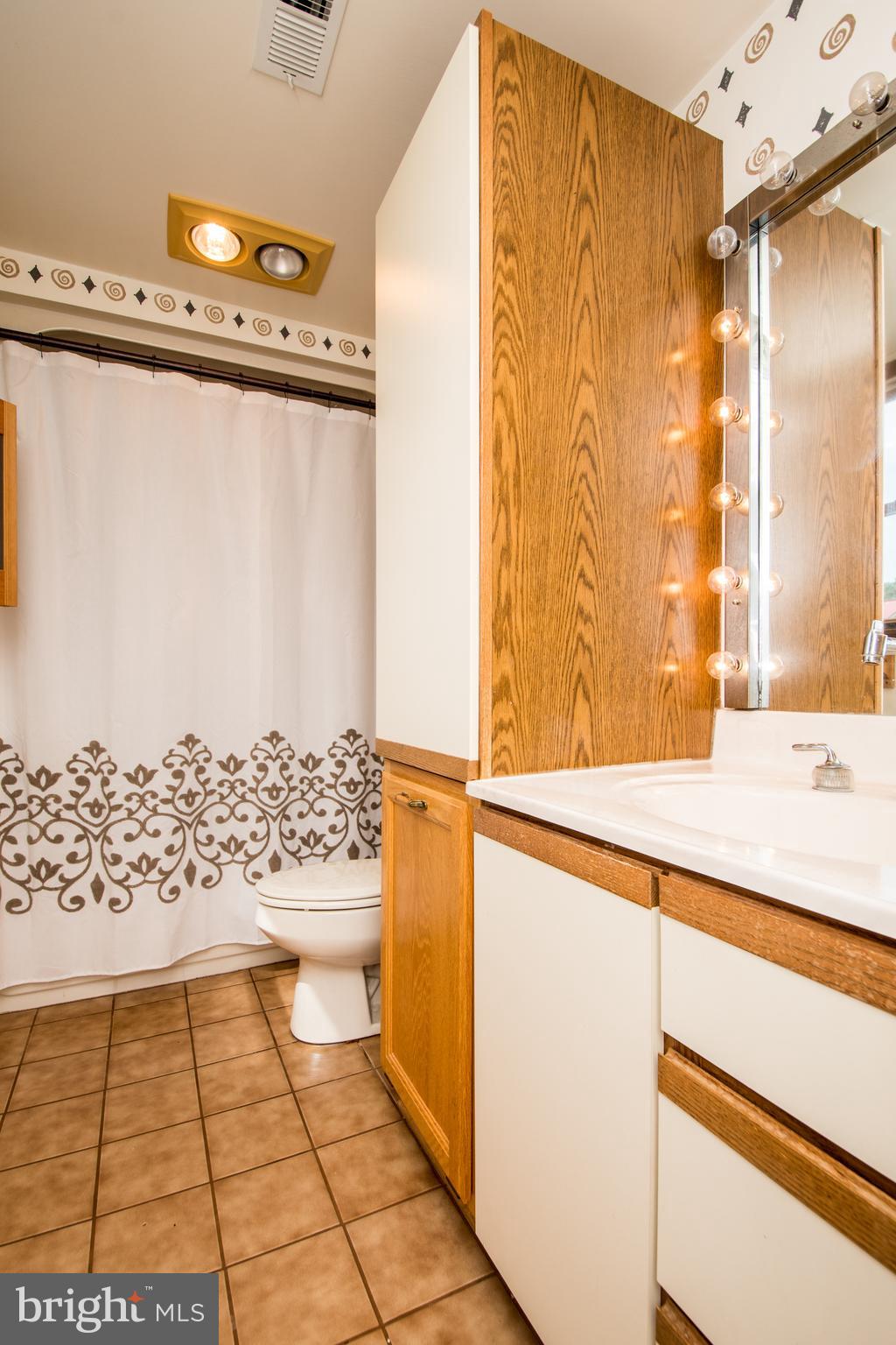 9700 Meetze Road Midland, VA 22728 - Photo 11 of 32 Main level full Bathroom