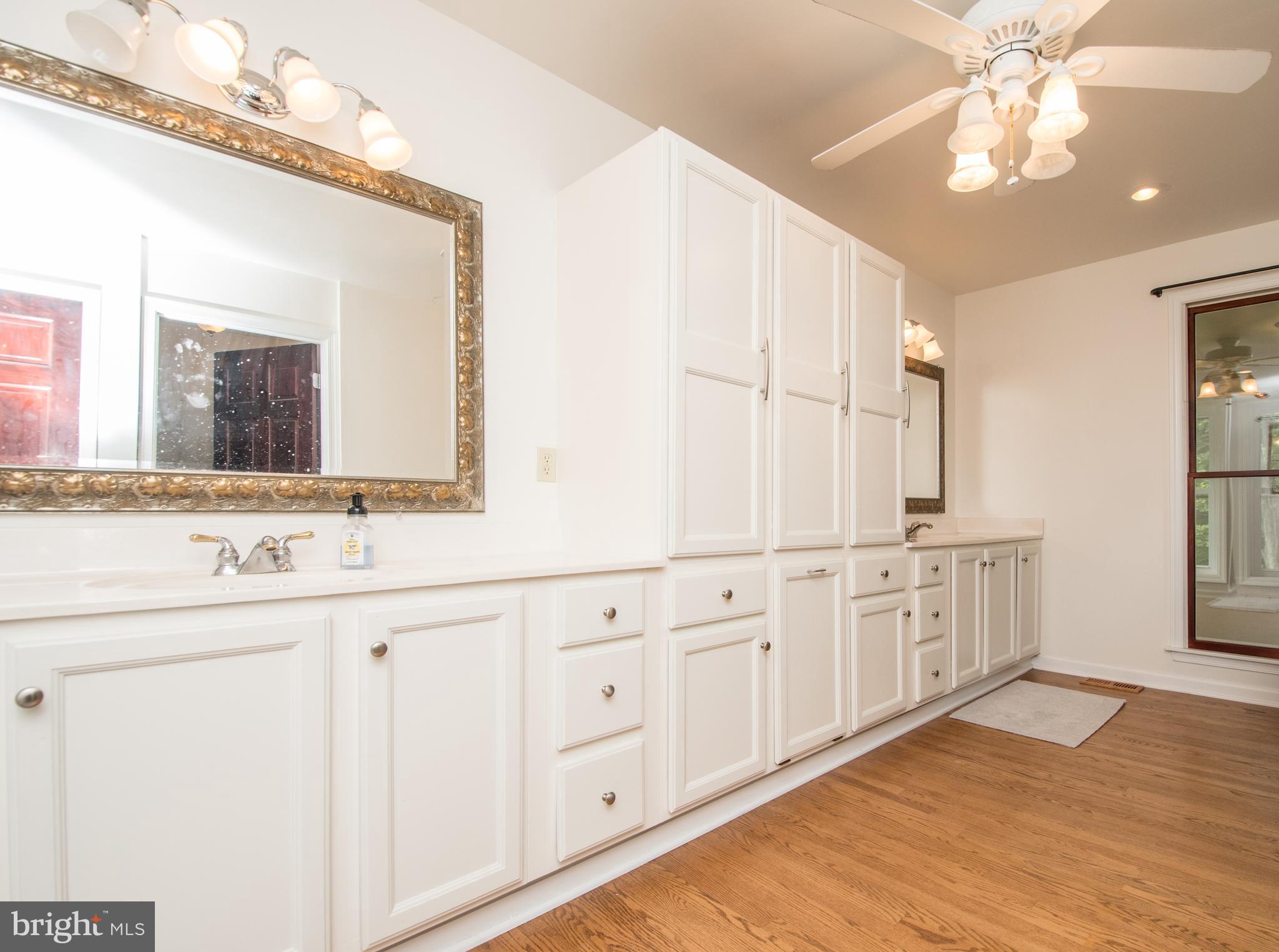 9700 Meetze Road Midland, VA 22728 - Photo 17 of 32 Large Master Bathroom with storage galore!