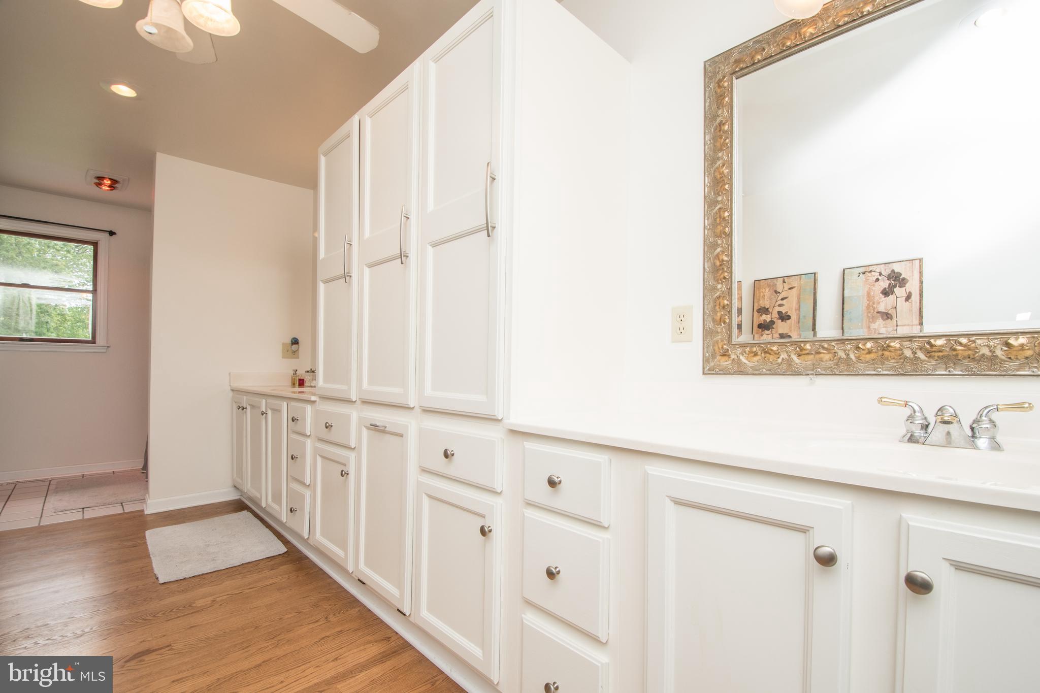 9700 Meetze Road Midland, VA 22728 - Photo 18 of 32 Another view of Master Bathroom