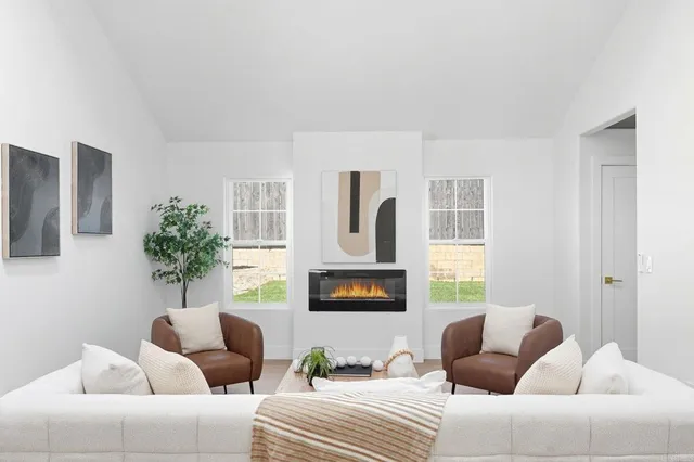 a living room with furniture and a potted plant