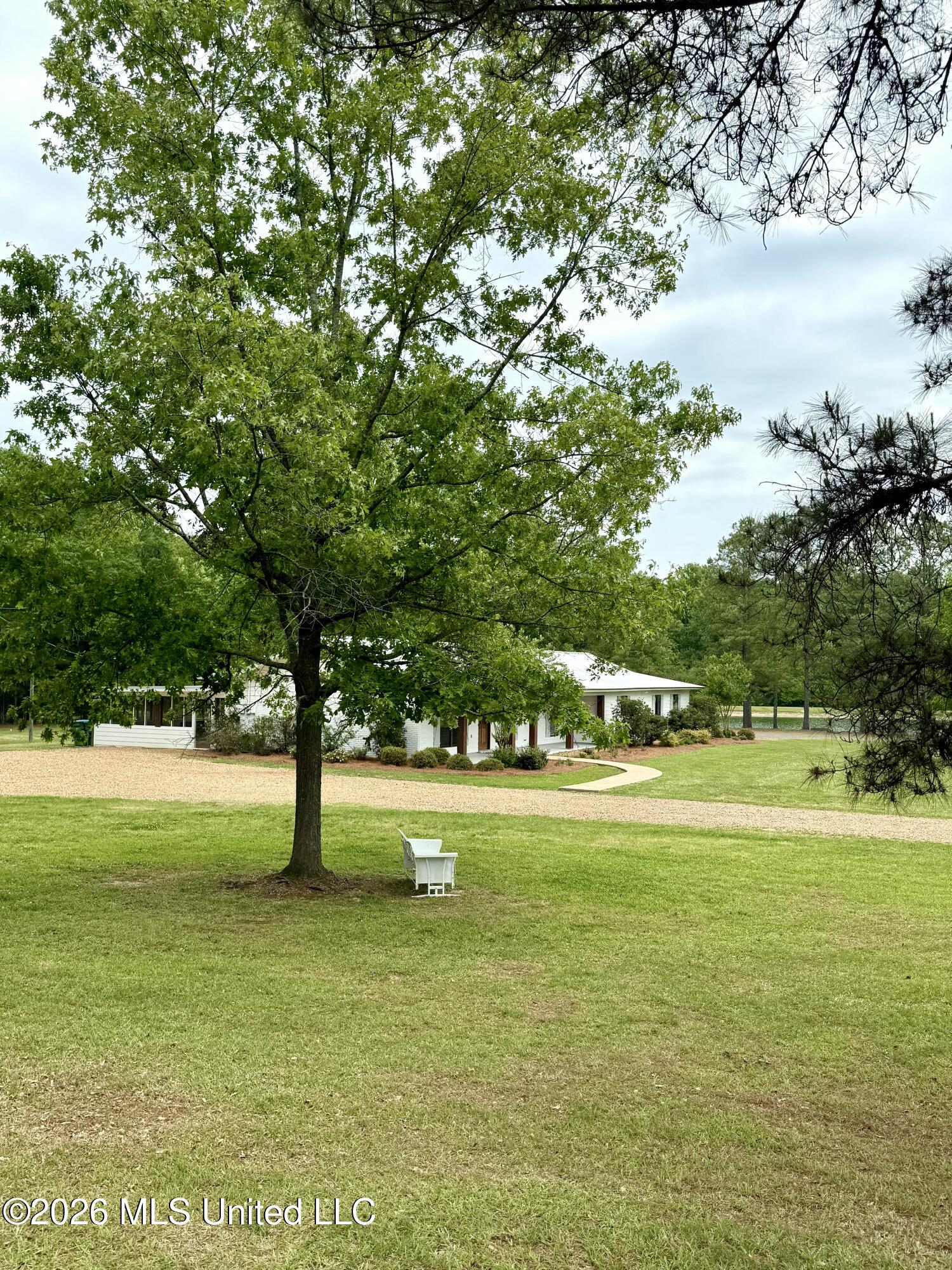 7351 Highway 488 Carthage, MS 39051 - Photo 13 of 71 FullSizeRender (17)