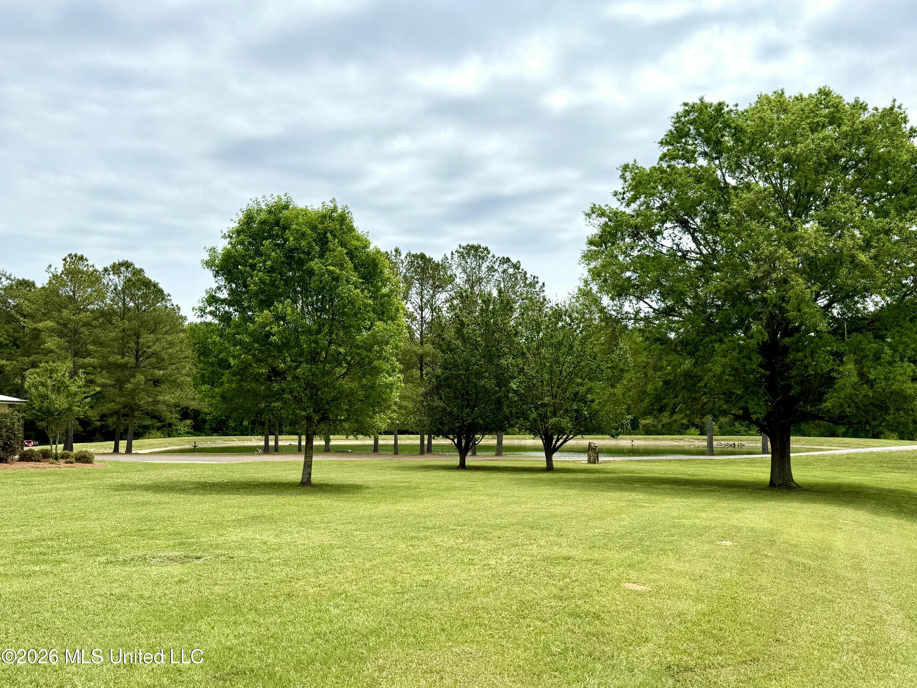 7351 Highway 488 Carthage, MS 39051 - Photo 6 of 71 FullSizeRender (3)