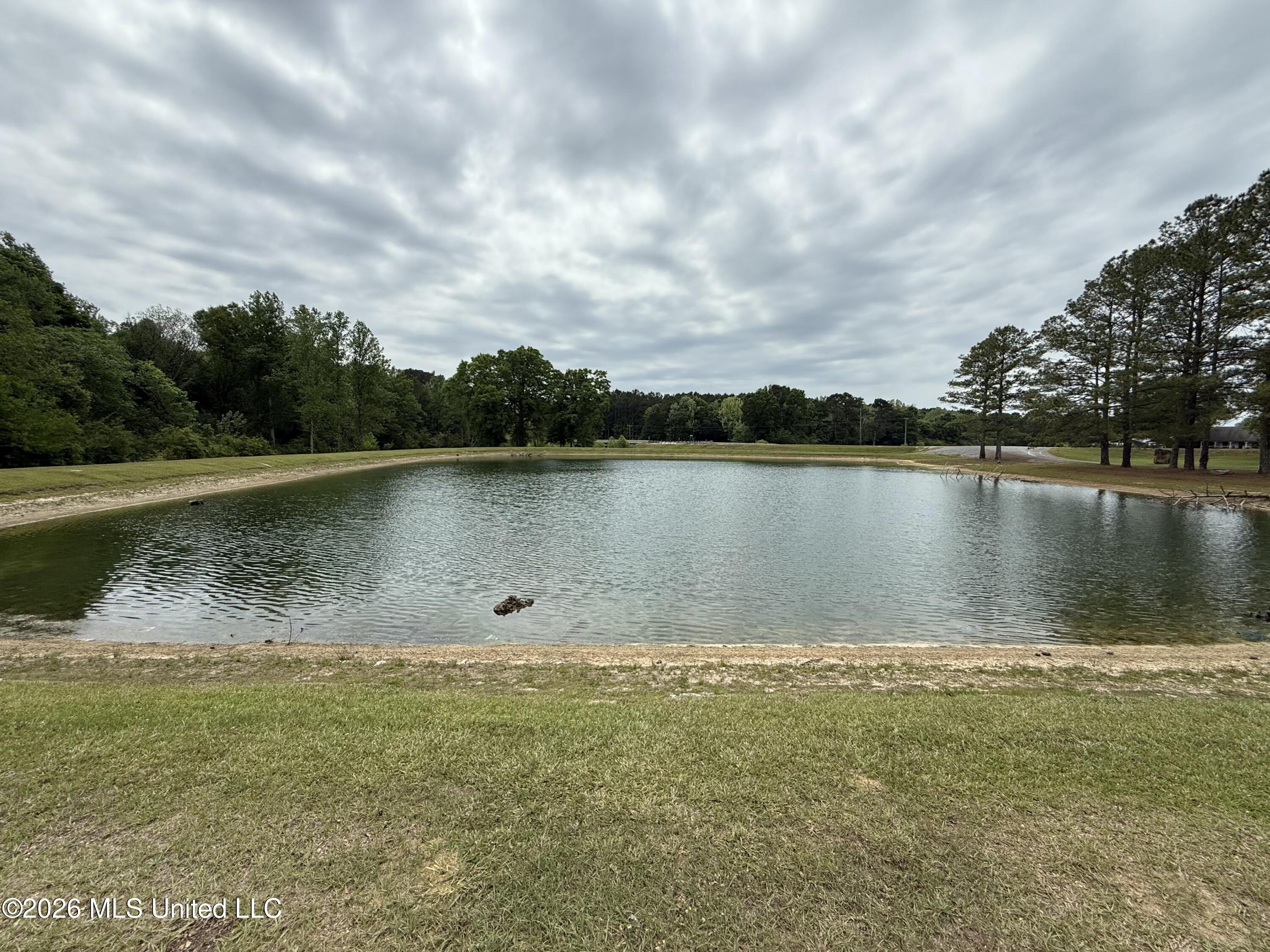 7351 Highway 488 Carthage, MS 39051 - Photo 61 of 71 IMG_6867