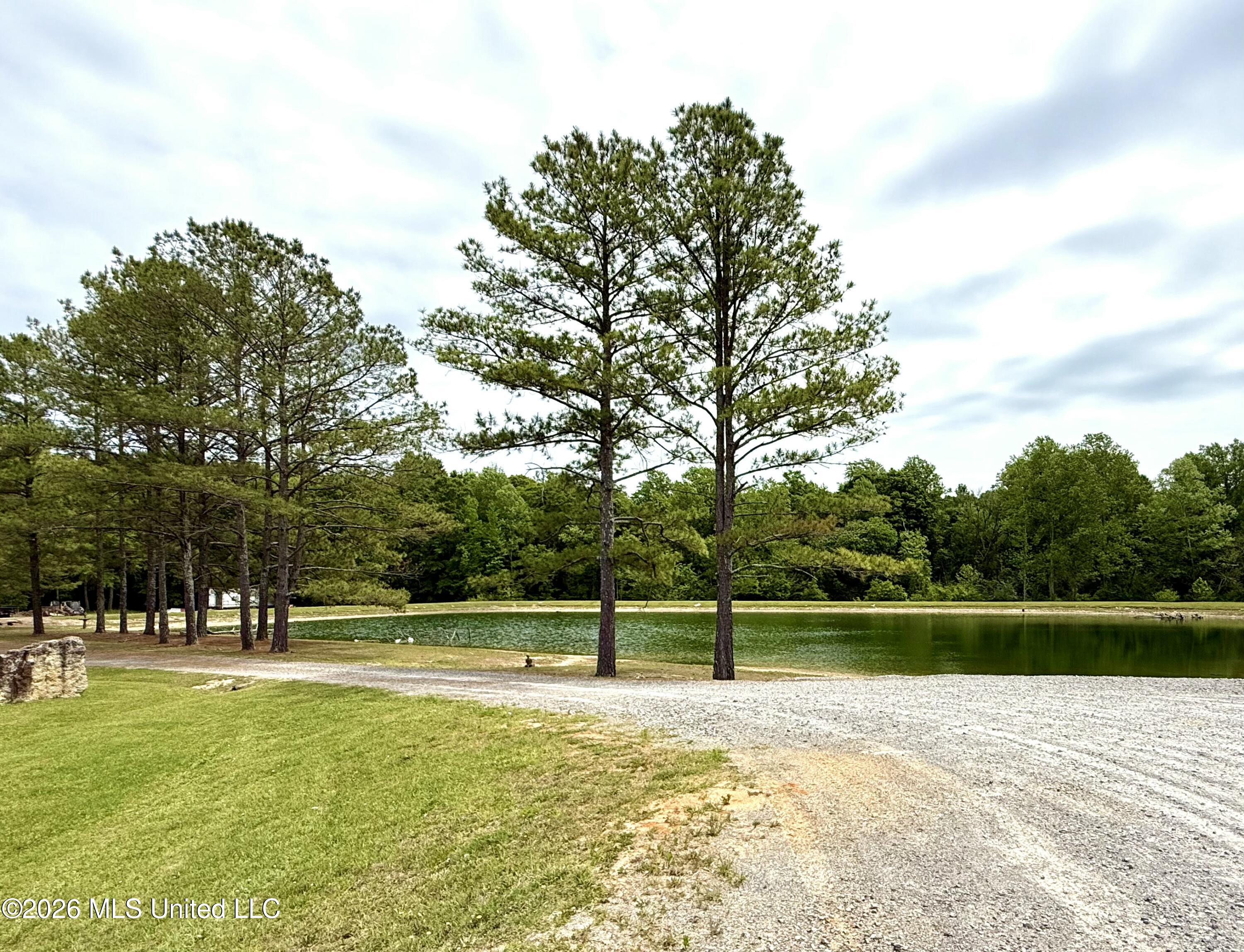 7351 Highway 488 Carthage, MS 39051 - Photo 63 of 71 FullSizeRender