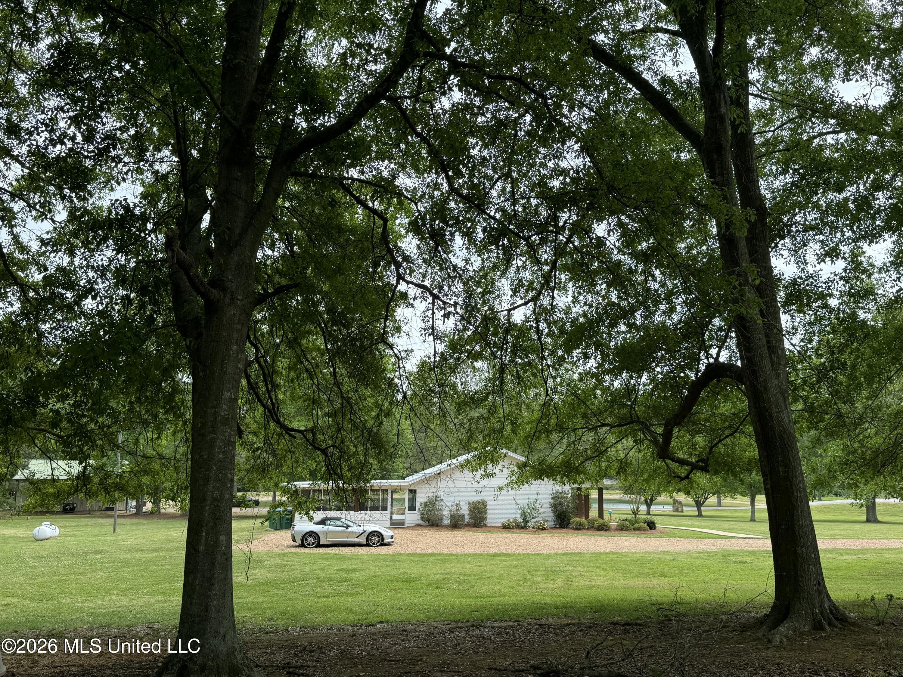 7351 Highway 488 Carthage, MS 39051 - Photo 66 of 71 IMG_6905