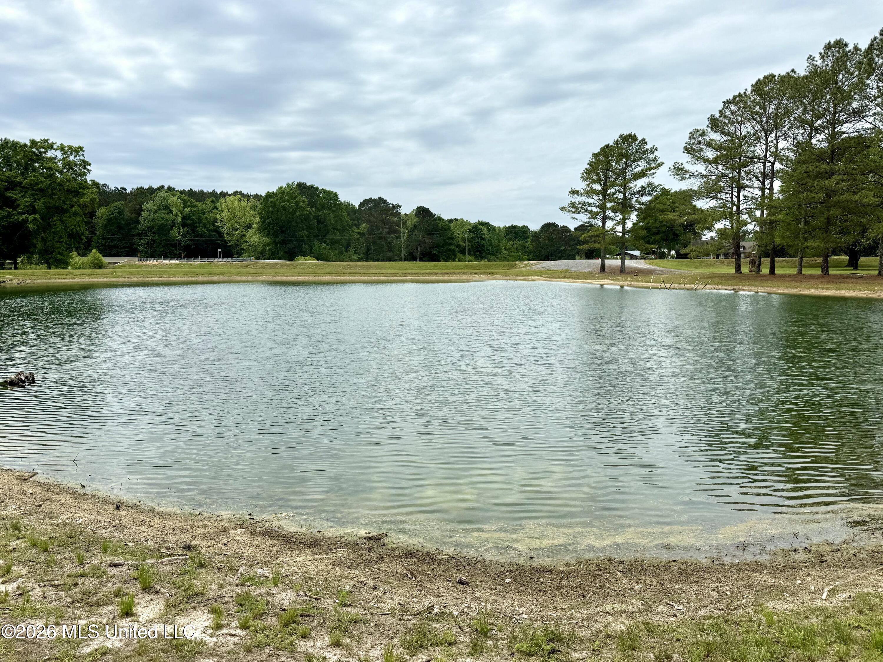 7351 Highway 488 Carthage, MS 39051 - Photo 8 of 71 FullSizeRender (5)