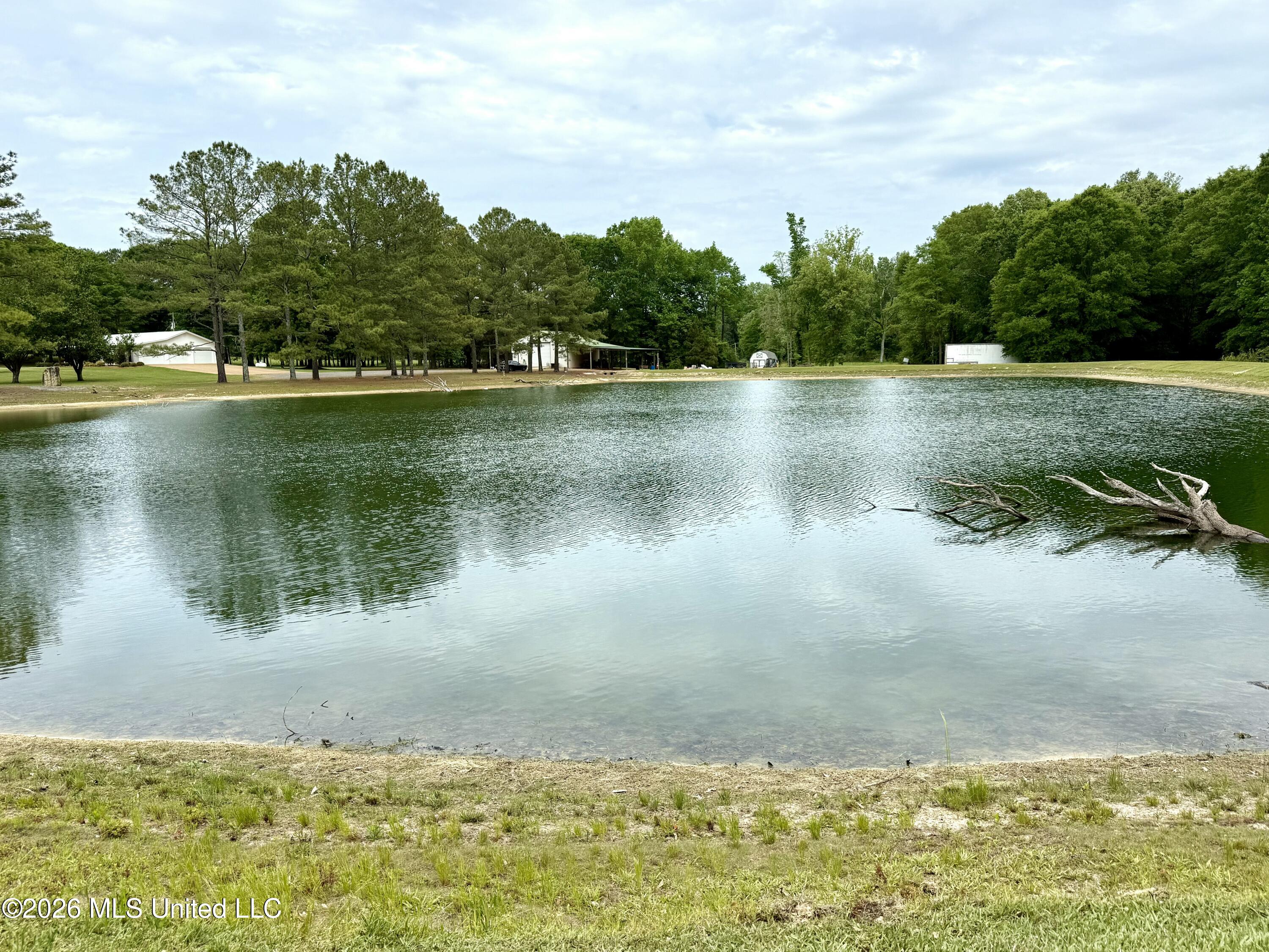 7351 Highway 488 Carthage, MS 39051 - Photo 9 of 71 FullSizeRender (7)
