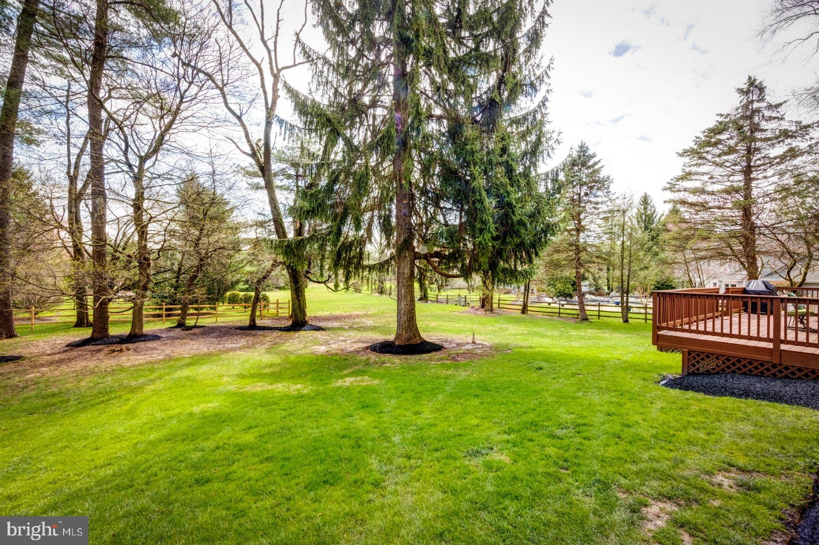 8 Willow Pond Road Malvern, PA 19355 - Photo 4 of 27 Rear Yard