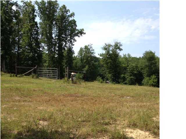 1006 Myers Road Pikeville, TN 37367 - Photo 1 of 6 Primary Photo