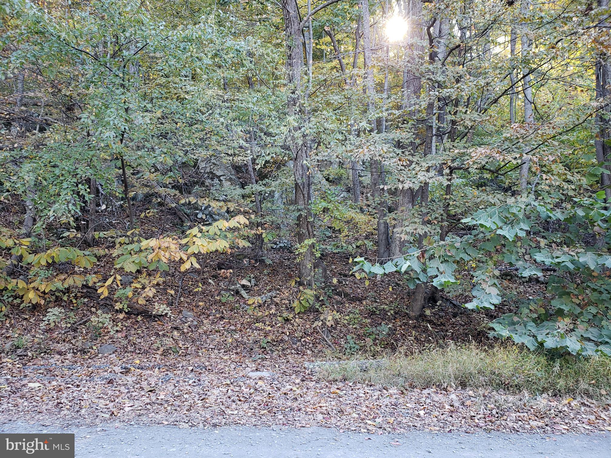 72-b B Mcdonalds Farm Road Linden, VA 22642 - Photo 1 of 20