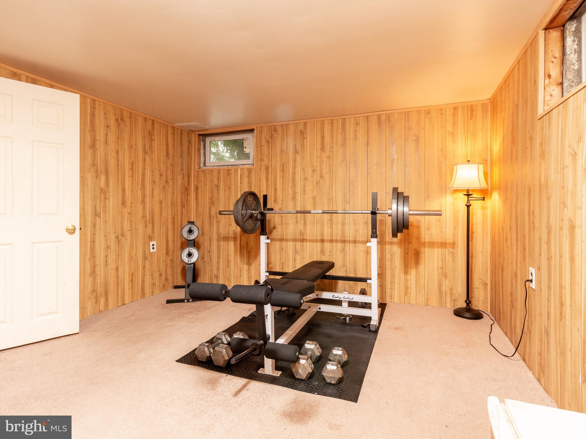 413 Tamara Circle Newark, DE 19711 - Photo 23 of 35 Basement Rec Room/Exercise Room