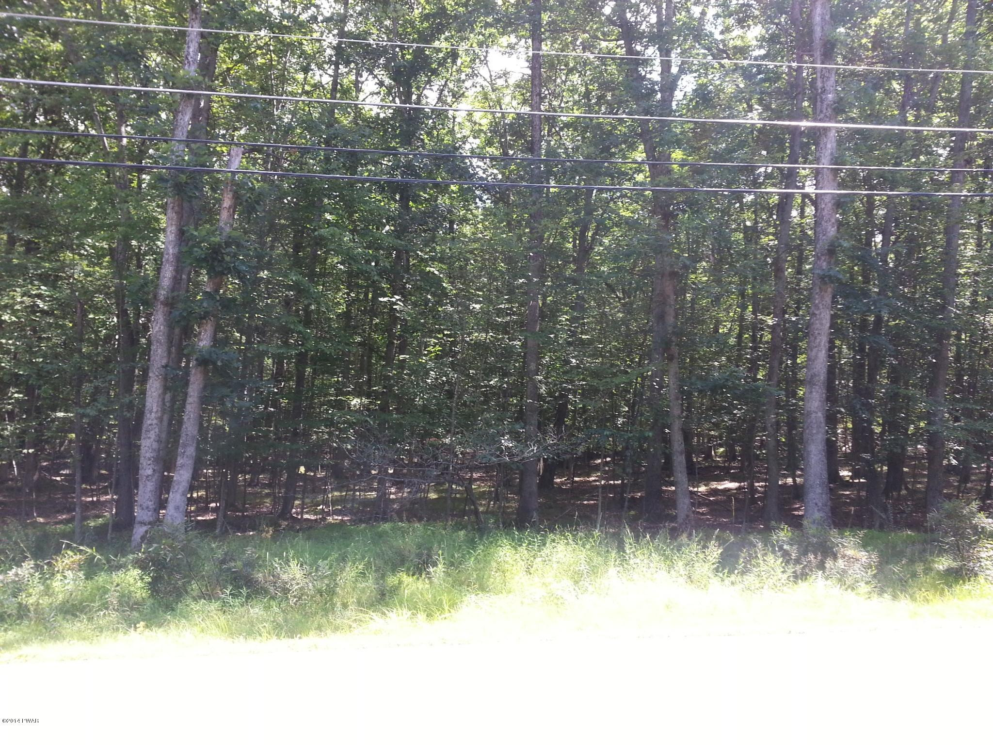 220 Oak Hill Road Hawley, PA 18428 - Photo 5 of 7