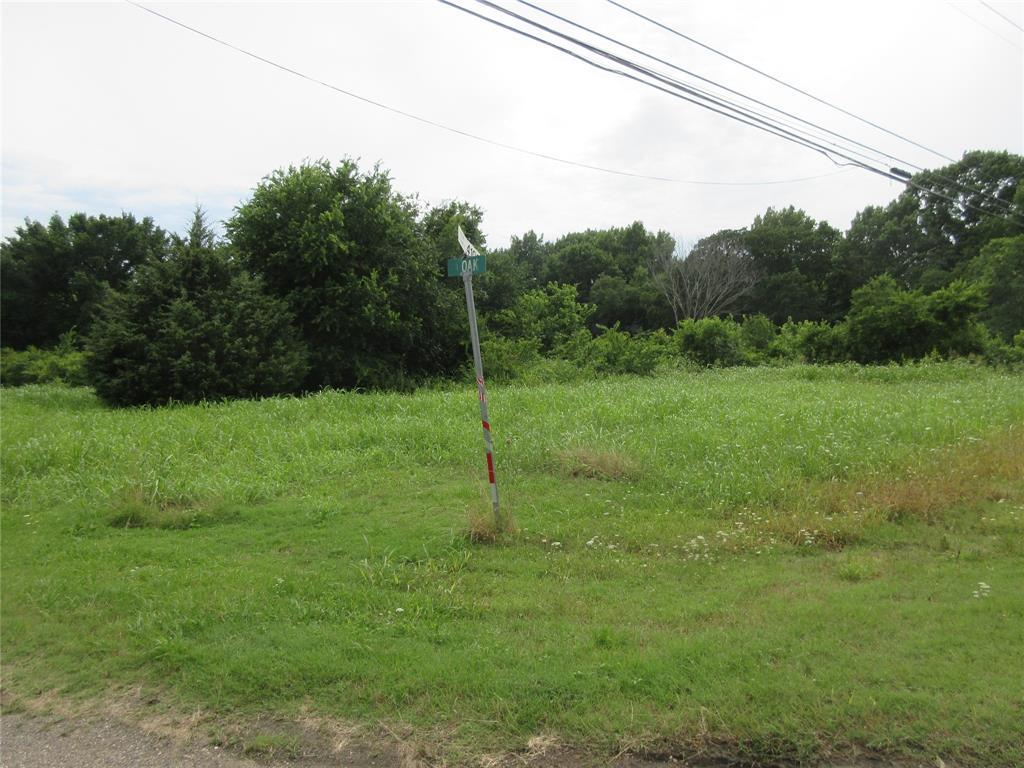 0 South Oak Street Ector, TX 75439 - Photo 11 of 11 View of undeveloped land