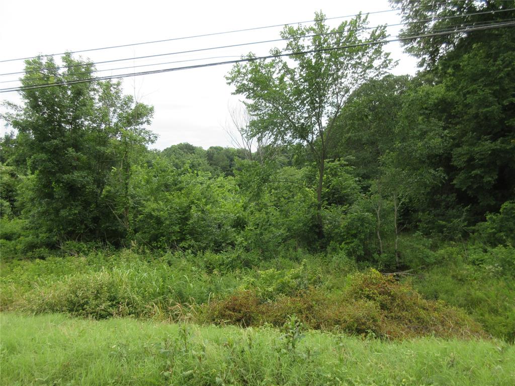 0 South Oak Street Ector, TX 75439 - Photo 4 of 11 View of tree filled area