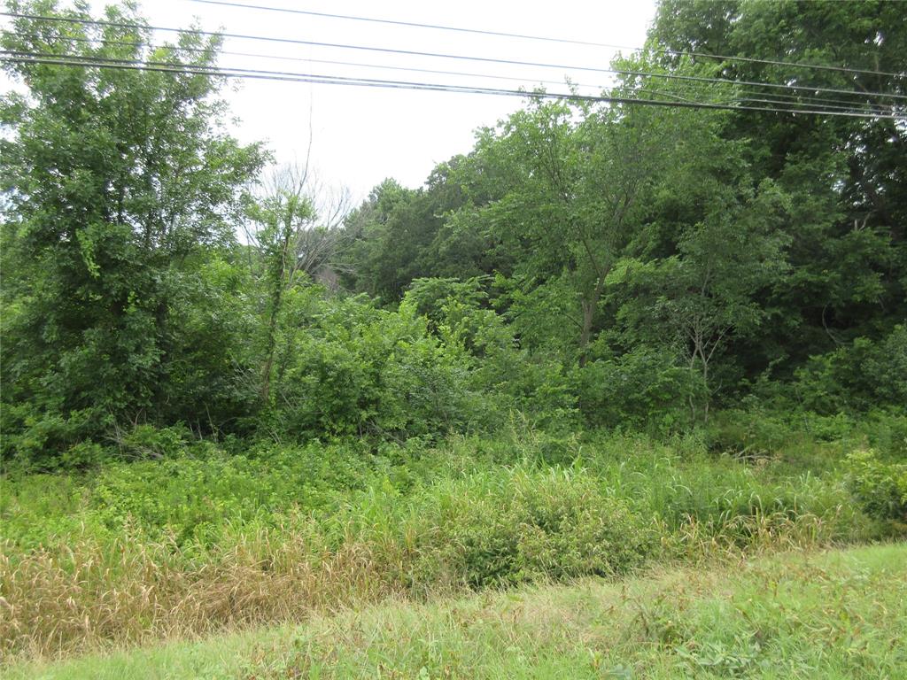 0 South Oak Street Ector, TX 75439 - Photo 5 of 11 View of undeveloped land