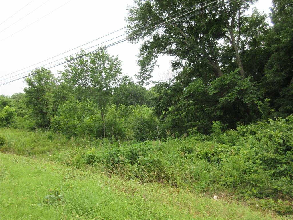 0 South Oak Street Ector, TX 75439 - Photo 6 of 11 View of undeveloped land