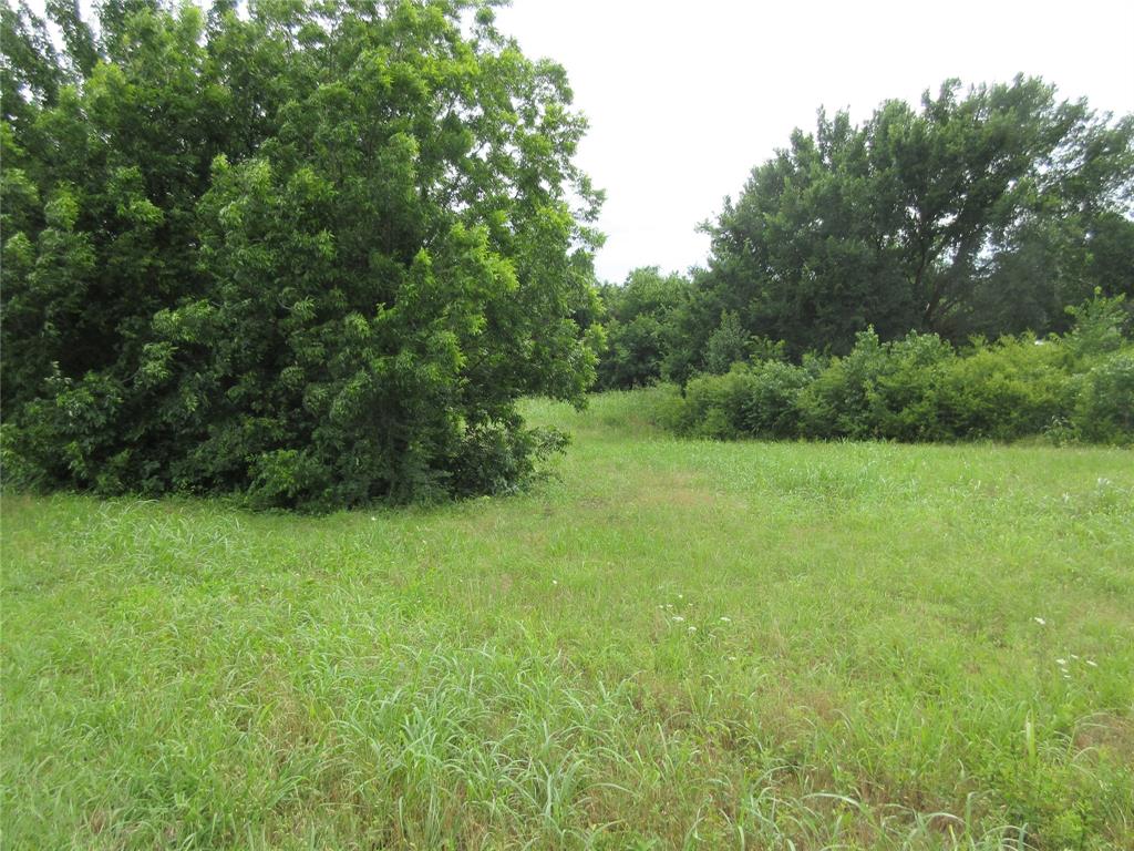0 South Oak Street Ector, TX 75439 - Photo 8 of 11 View of undeveloped land