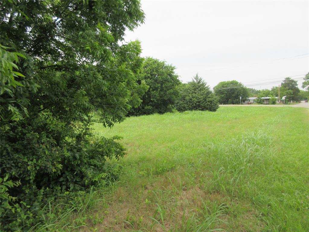 0 South Oak Street Ector, TX 75439 - Photo 9 of 11 View of yard