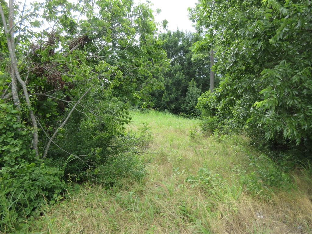 0 South Oak Street Ector, TX 75439 - Photo 10 of 11 View of undeveloped land