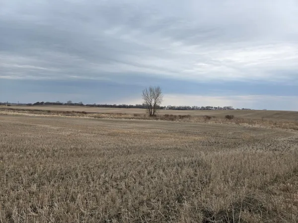 $165,000 | Lot B) Lot B) Tbd 100th Avenue, Barnesville, MN 56514