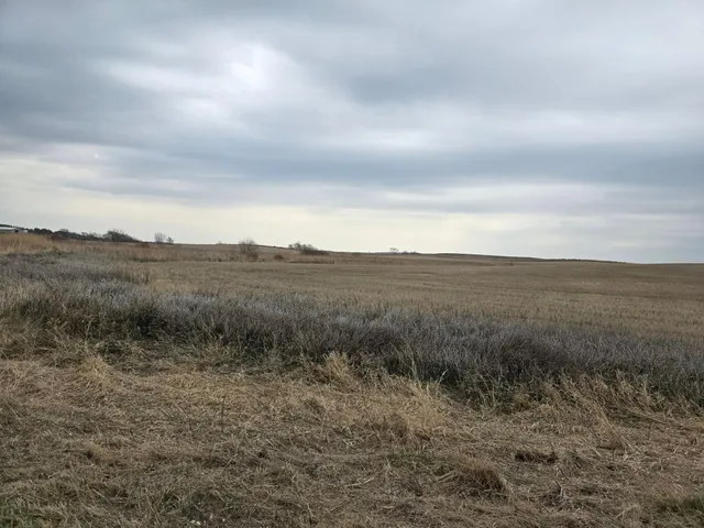 $165,000 | Lot B) Lot B) Tbd 100th Avenue, Barnesville, MN 56514