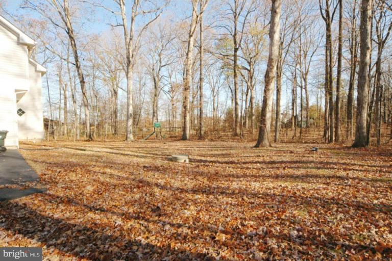 19509 Gleedsville Road Leesburg, VA 20175 - Photo 15 of 16 Back yard