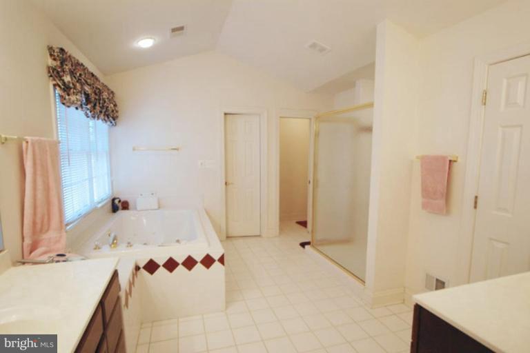 19509 Gleedsville Road Leesburg, VA 20175 - Photo 8 of 16 Master Bath