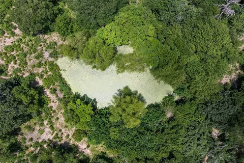 a view of a lake in a forest