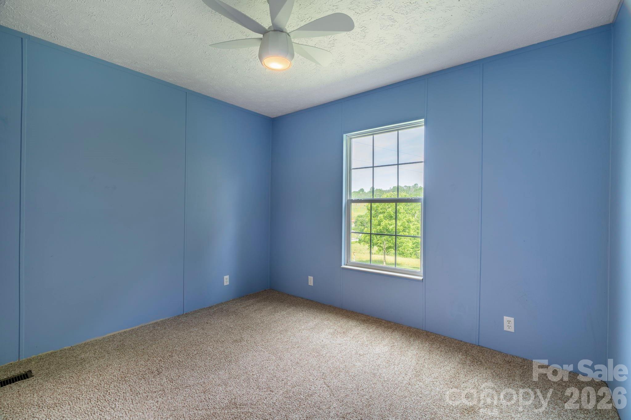 351 Mag Sluder Road Alexander, NC 28701 - Photo 28 of 48