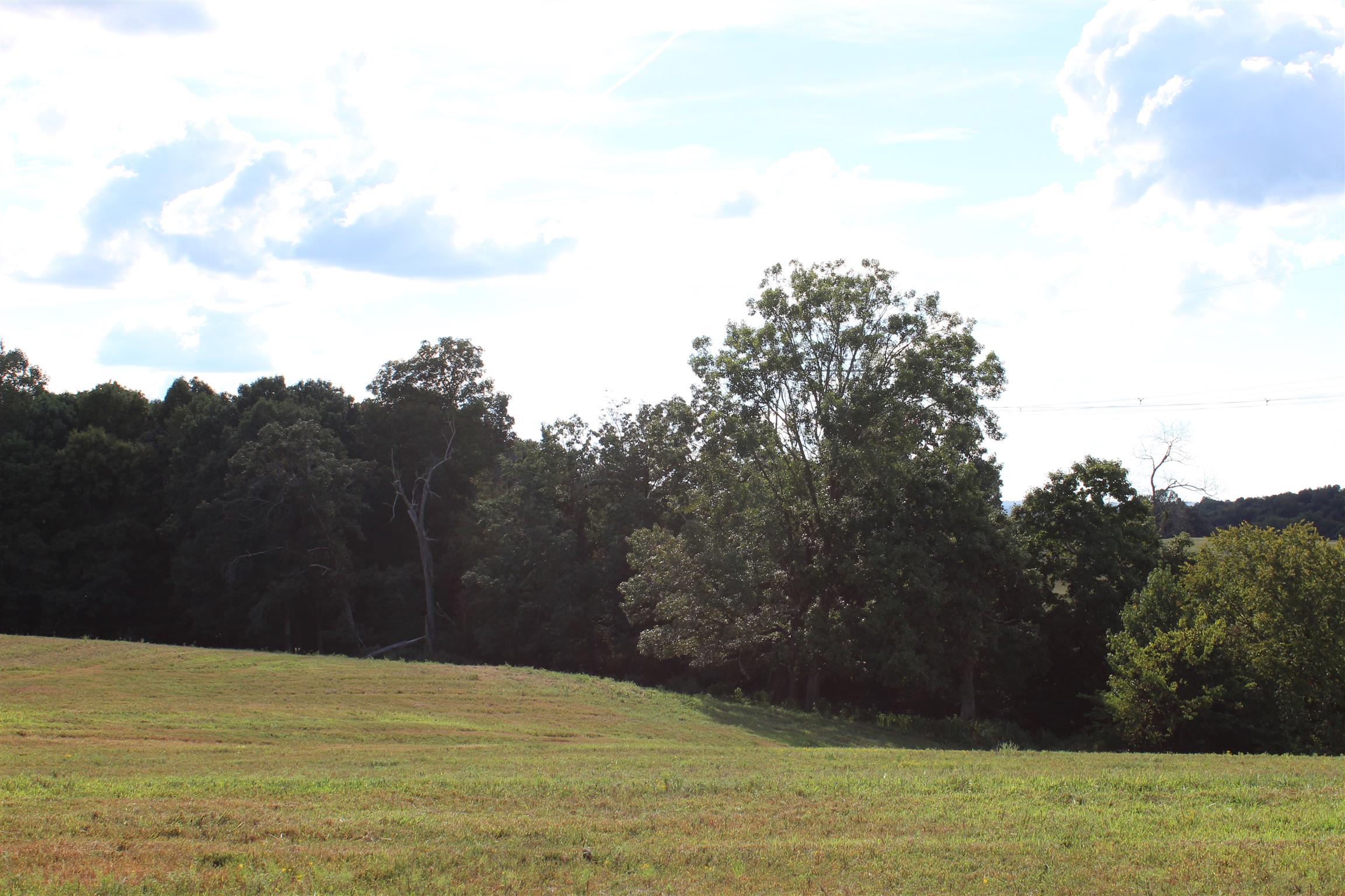 1 Hickory Point Road Clarksville, TN 37043 - Photo 3 of 5