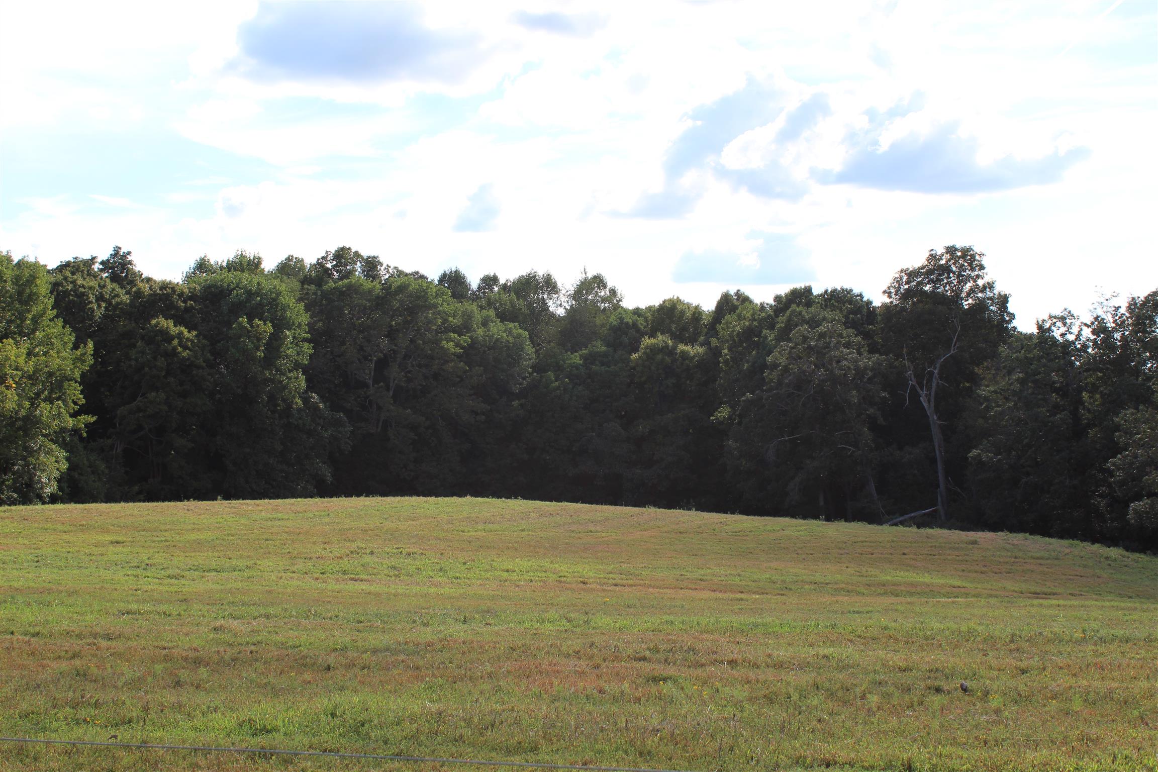 1 Hickory Point Road Clarksville, TN 37043 - Photo 4 of 5
