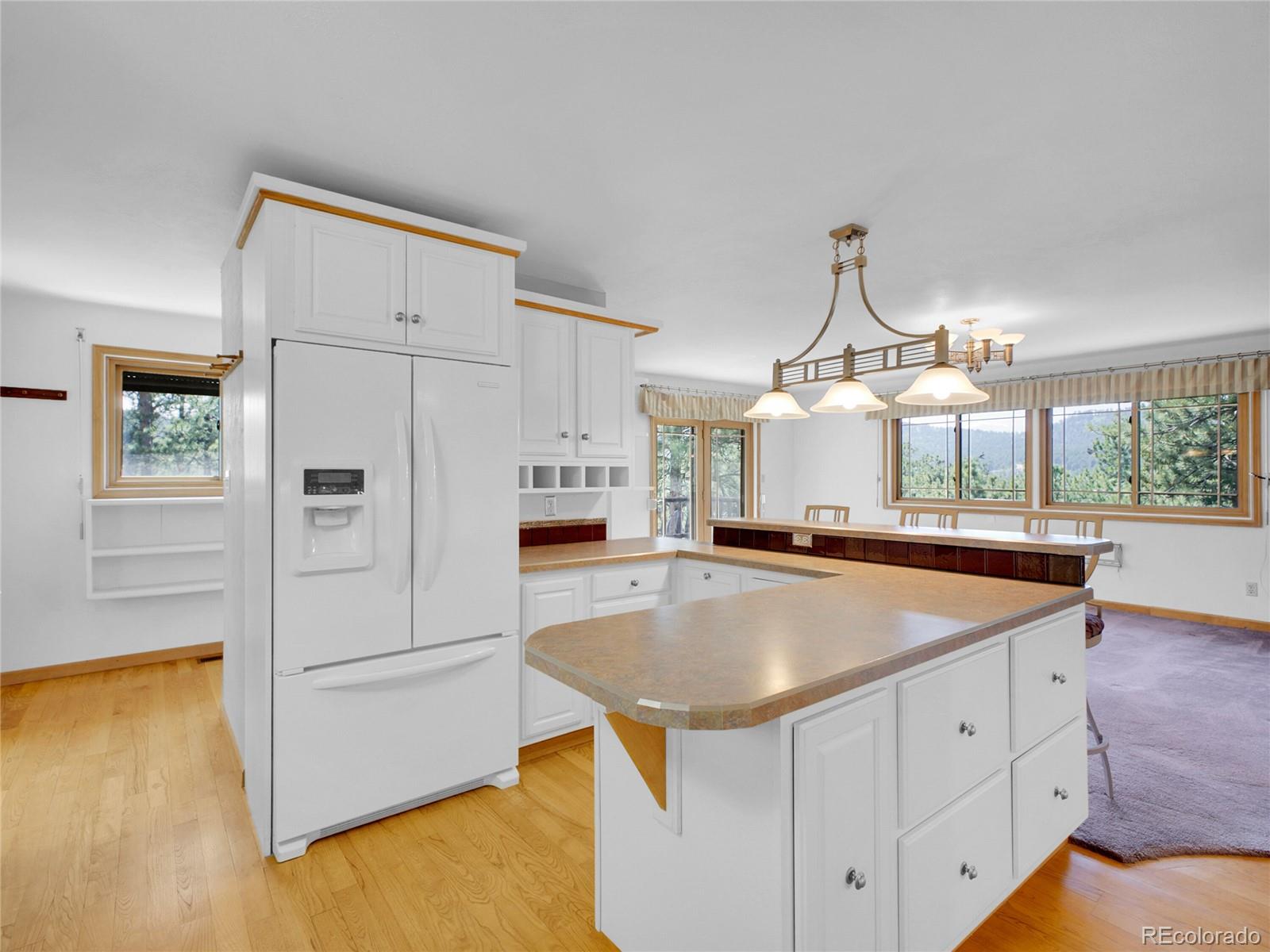 5336 South High Road Evergreen, CO 80439 - Photo 14 of 45 Gallery Image 14