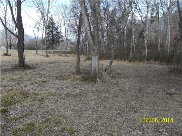 2 Lower East Valley Road, Unit 2 Dunlap, TN 37327 - Photo 8 of 23 Additional Photo