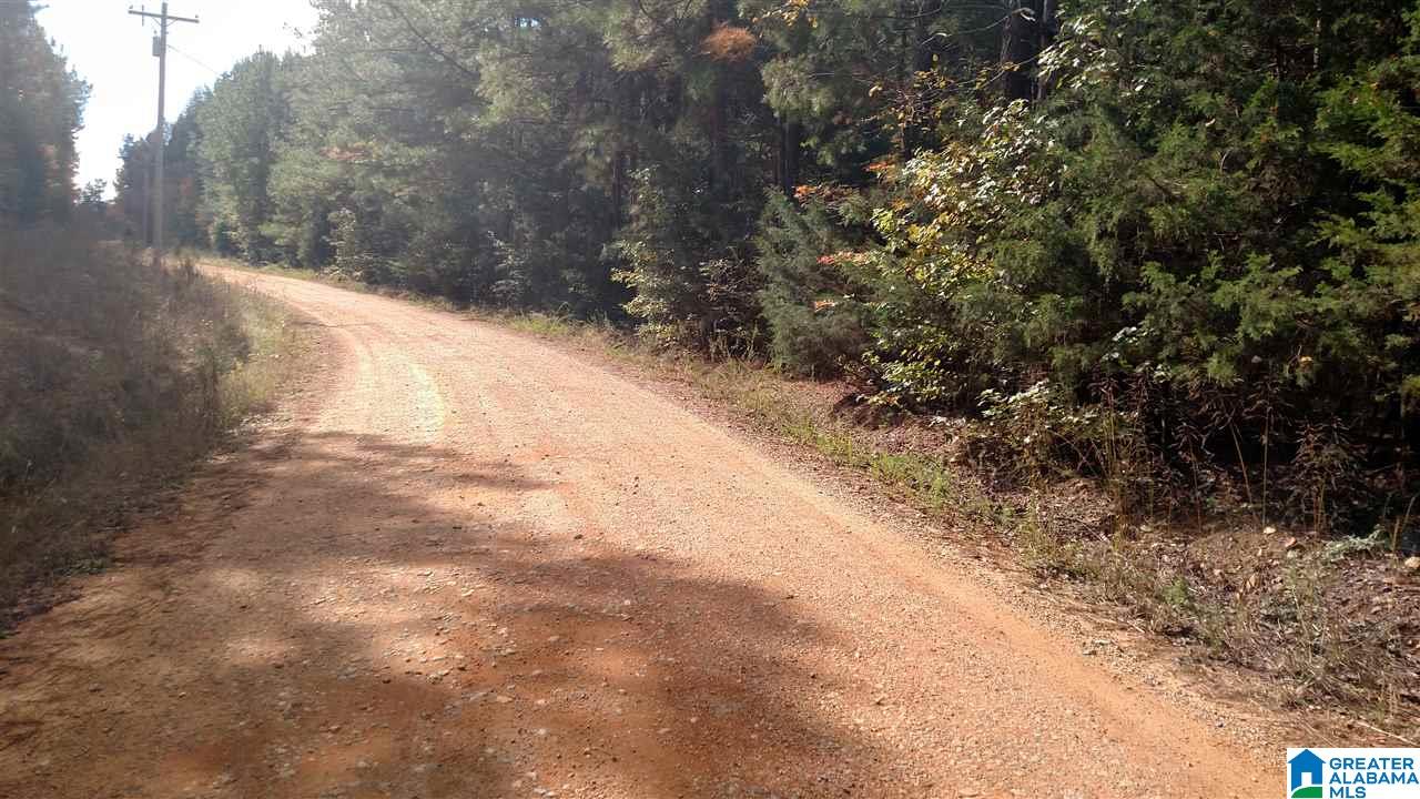 0 Cook Road, Unit 2 Equality, AL 36026 - Photo 4 of 5