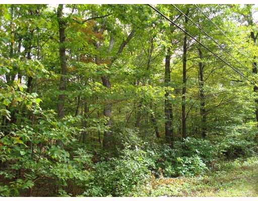 161 East Lake Road Acme, PA 15610 - Photo 1 of 1 Exterior Front. Wooded Residential Lot