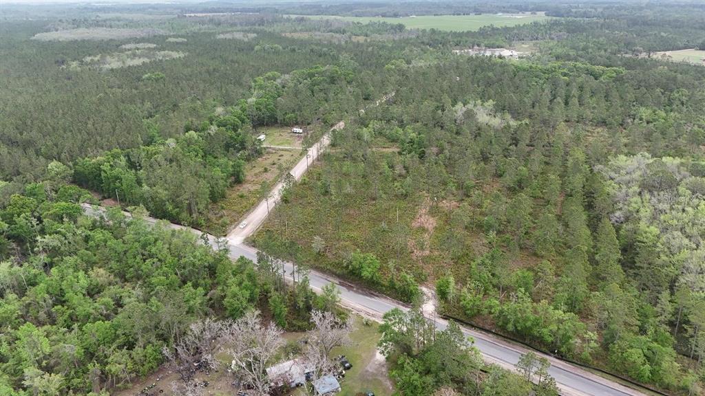 25 Southeast A Se County Road White Springs, FL 32096 - Photo 11 of 18 a view of a forest with a street