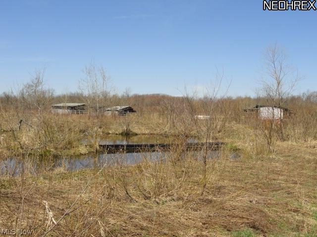 5253 Hall Road Dorset, OH 44032 - Photo 14 of 22 Gallery Image 14
