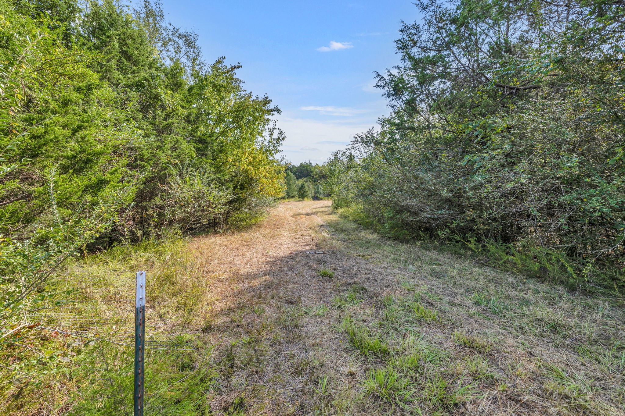 0 Bethbirei Road Lewisburg, TN 37091 - Photo 18 of 20 a view of a yard with trees