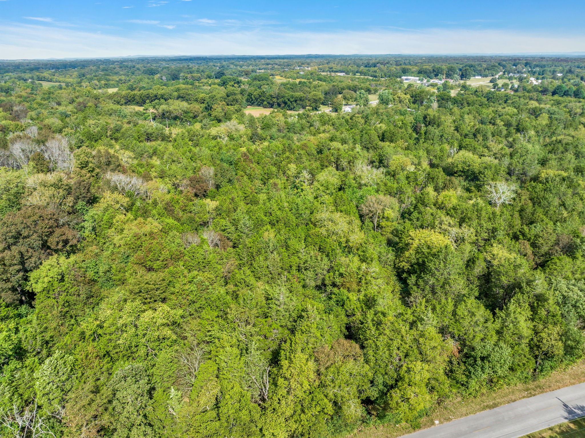 0 Bethbirei Road Lewisburg, TN 37091 - Photo 20 of 20 a view of a green field with lots of bushes