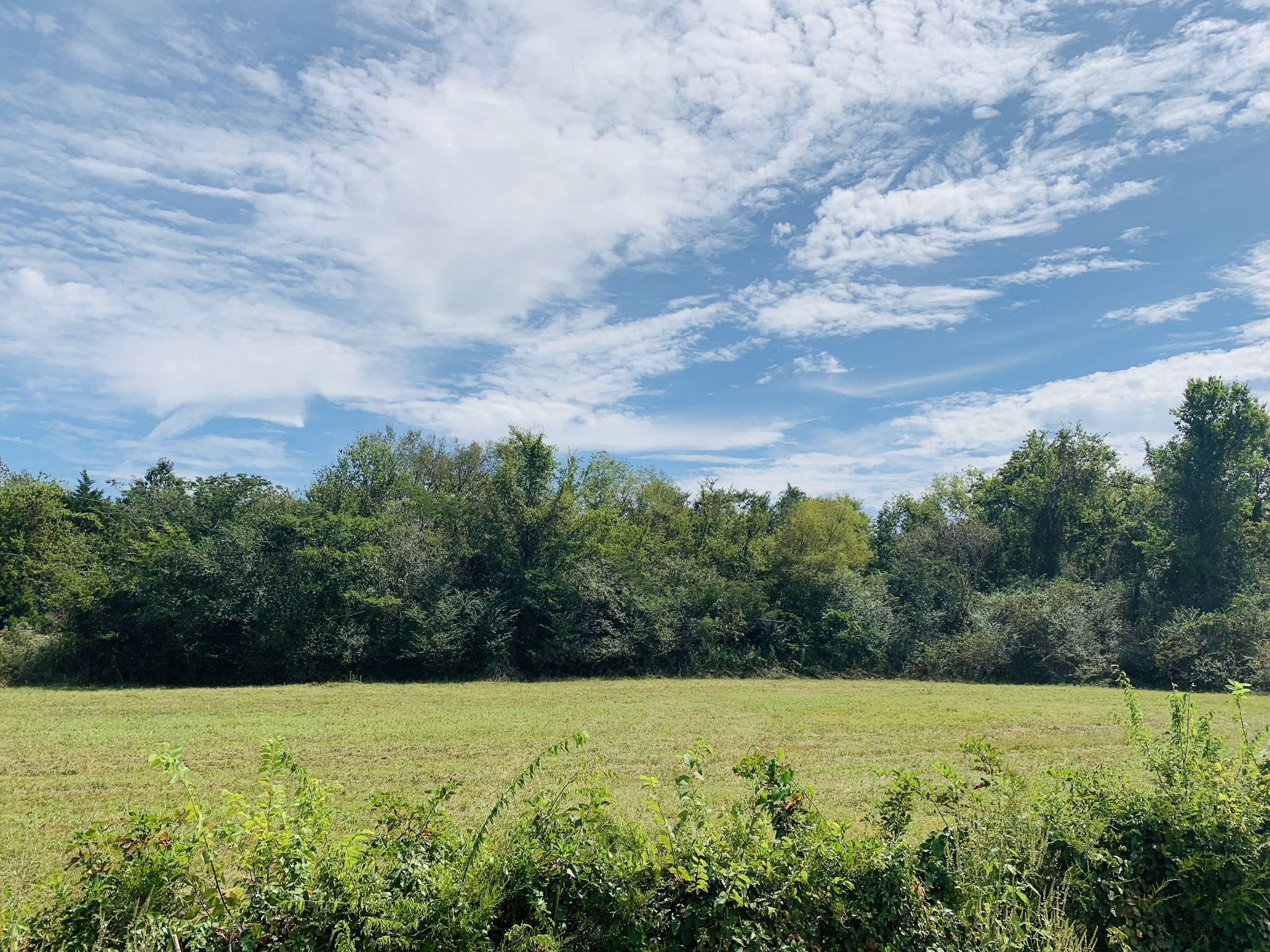 0 Bethbirei Road Lewisburg, TN 37091 - Photo 6 of 20 a view of an outdoor space and yard