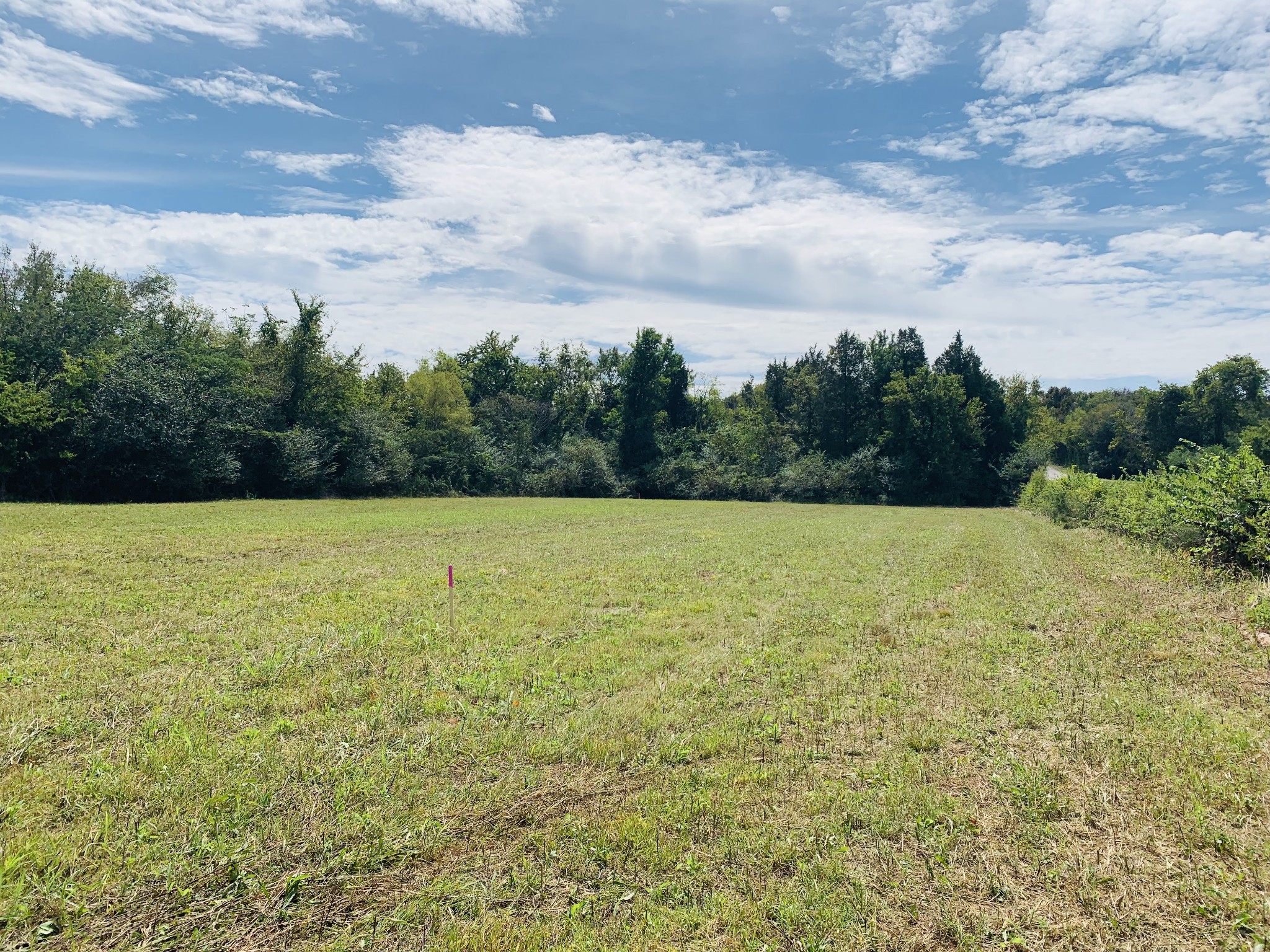0 Bethbirei Road Lewisburg, TN 37091 - Photo 8 of 20 a view of a lake