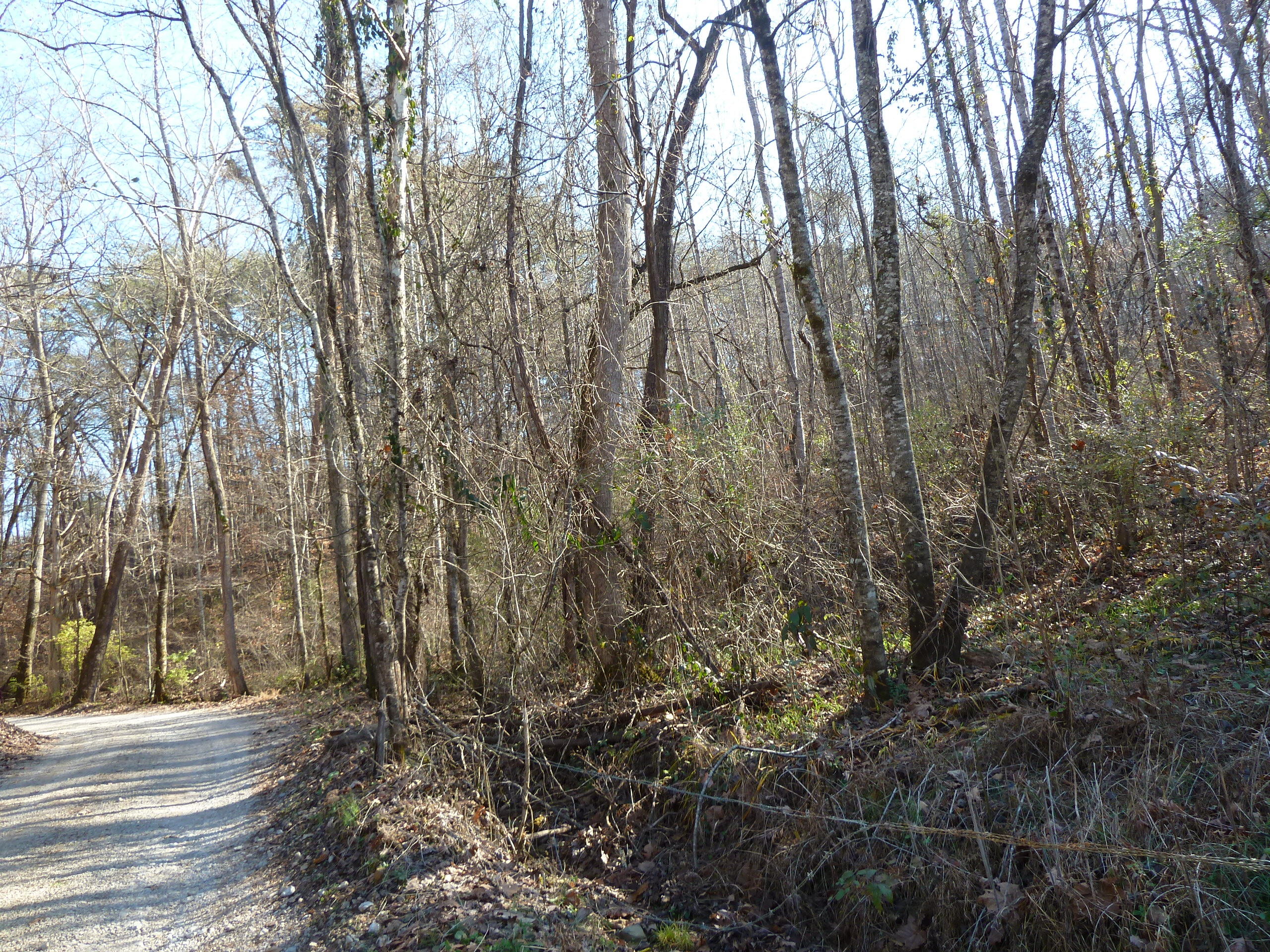 Old Jacksboro Pike Heiskell, TN 37754 - Photo 11 of 12 P1210267