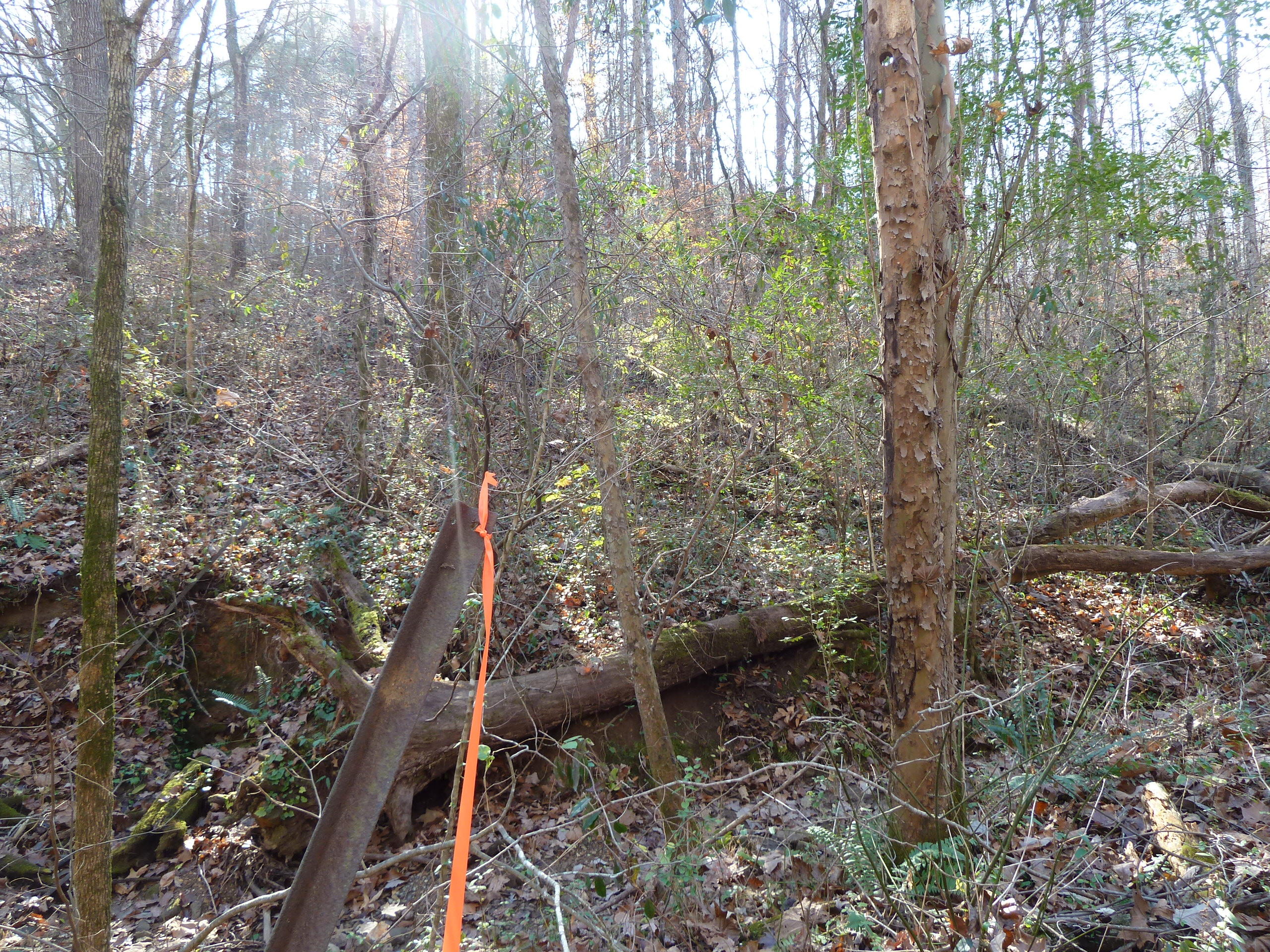 Old Jacksboro Pike Heiskell, TN 37754 - Photo 12 of 12 P1210269