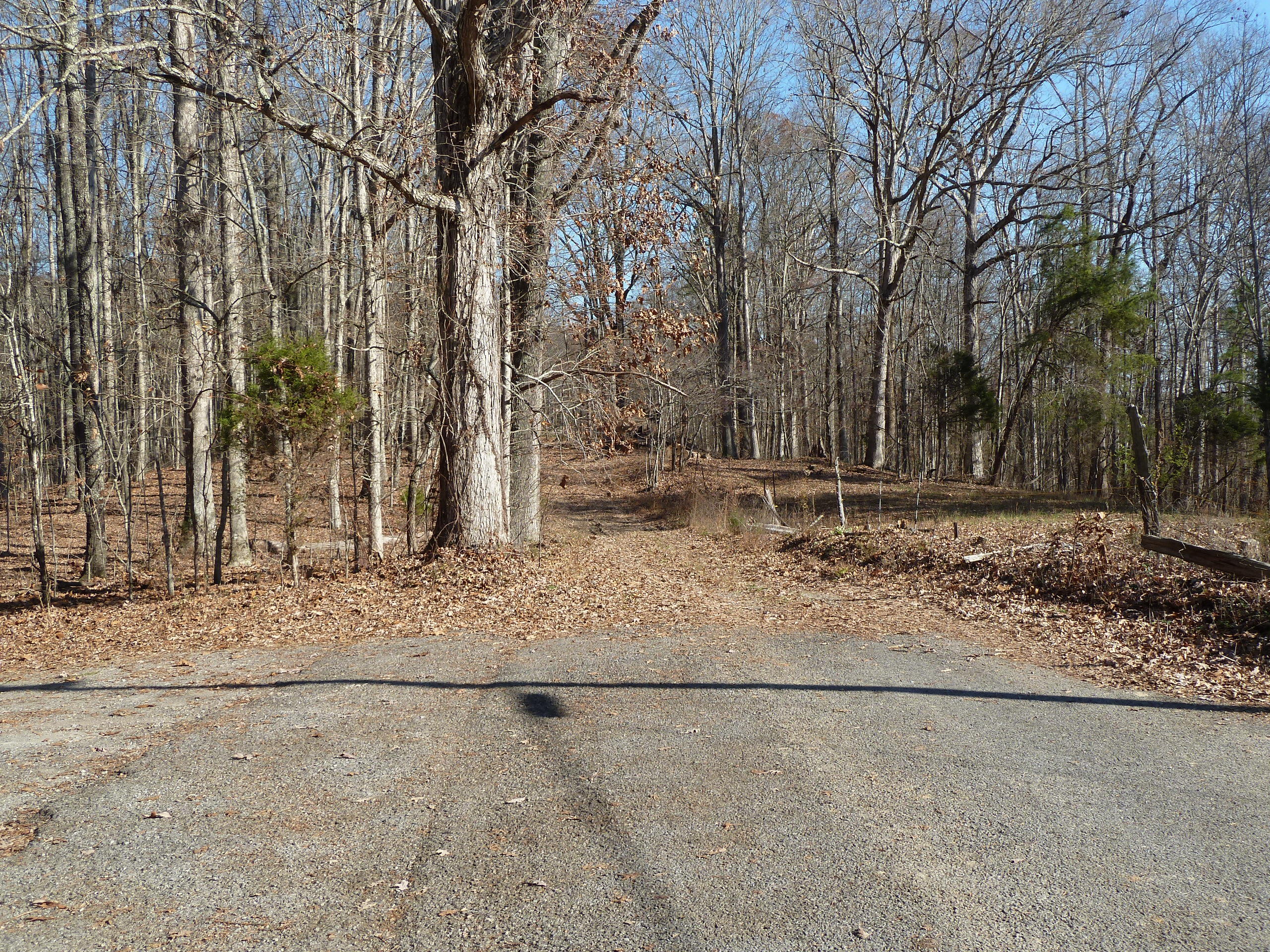 P1210259