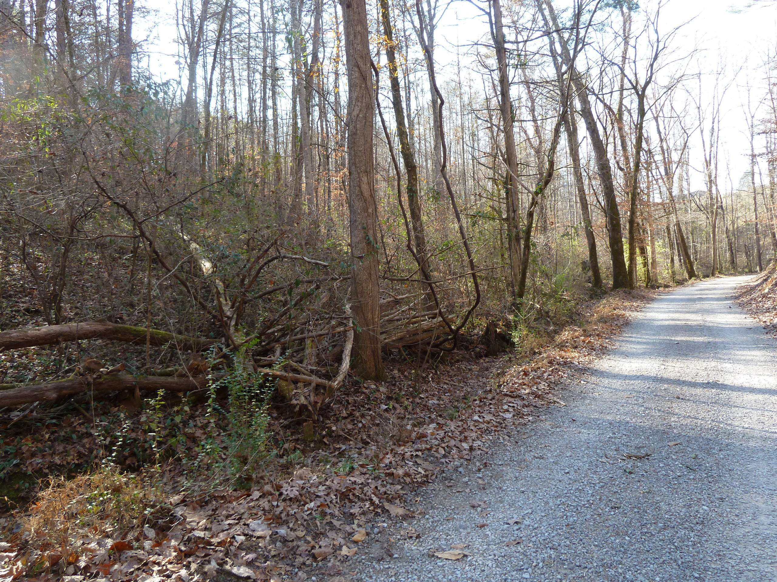 Old Jacksboro Pike Heiskell, TN 37754 - Photo 10 of 12 P1210268