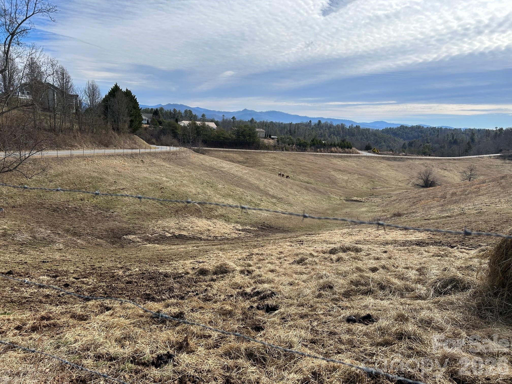2776 Bend Of Ivy Road Marshall, NC 28753 - Photo 3 of 8