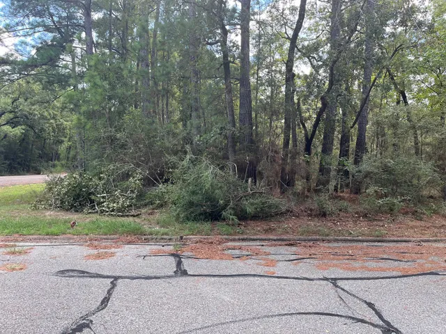 $12,500 | 0 Beechnut, Oakhurst, TX 77359